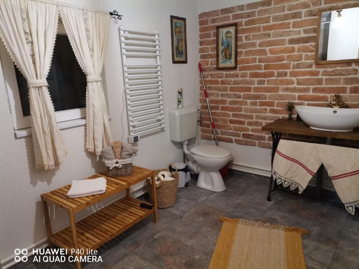 Vén Fenyő Kunyhó Ciceu Extérieur photo