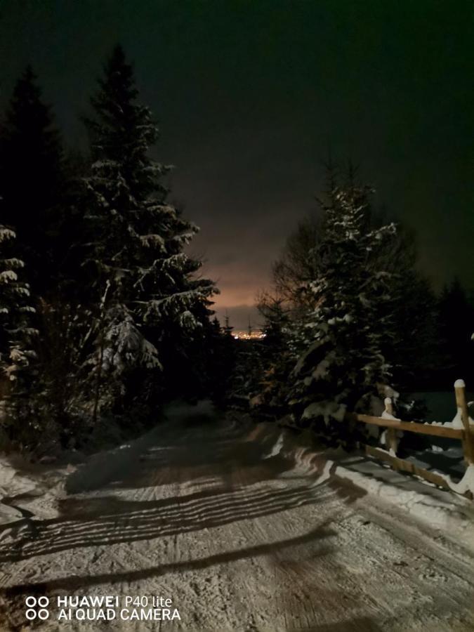 Vén Fenyő Kunyhó Ciceu Extérieur photo