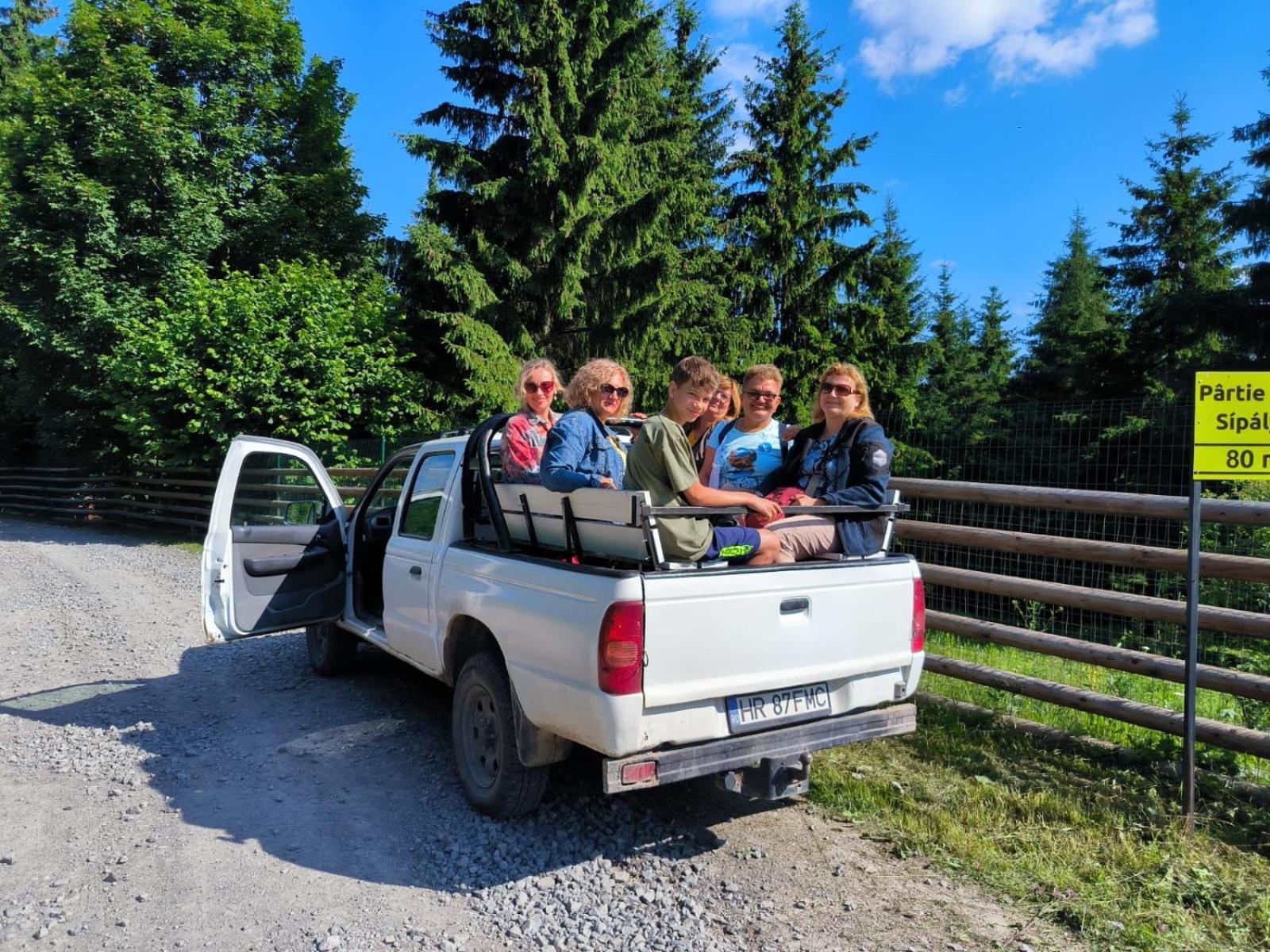 Vén Fenyő Kunyhó Ciceu Extérieur photo