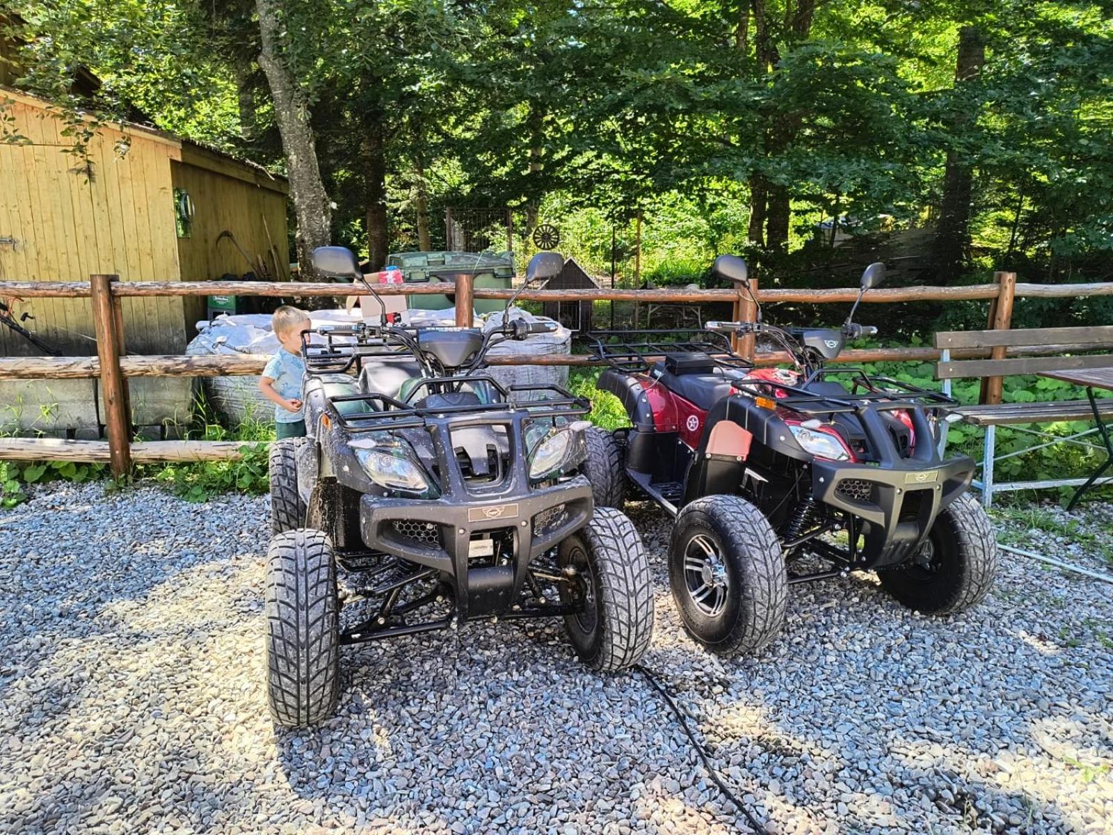 Vén Fenyő Kunyhó Ciceu Extérieur photo